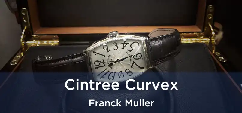  Cintree Curvex Franck Muller