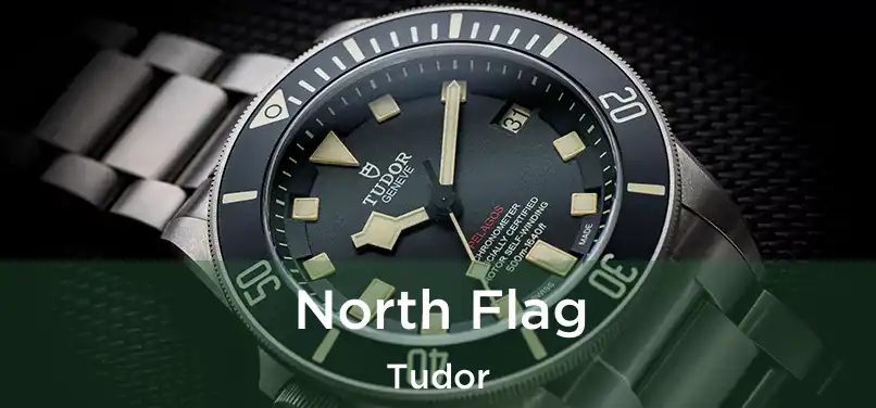  North Flag Tudor