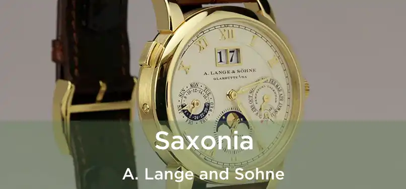  Saxonia A. Lange and Sohne